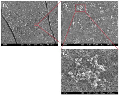 SEM images from surface of polymer-buckypaper residue