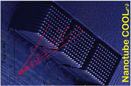 Field emission scanning electron microscopy image of a carbon nanotube fin array block