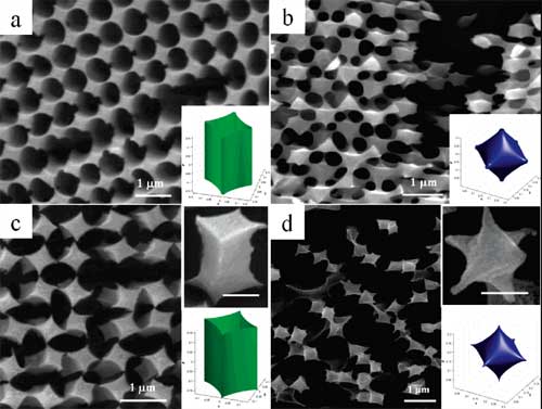 SEM images of the experimental structures