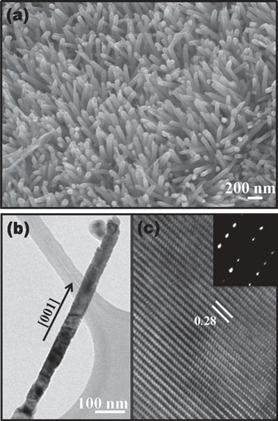 zinc oxide nanorids grown on paper