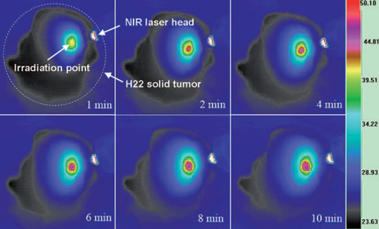 Infrared thermal images of an excised pGSNs-injected H22 solid tumor sample at different time points under NIR laser irradiation