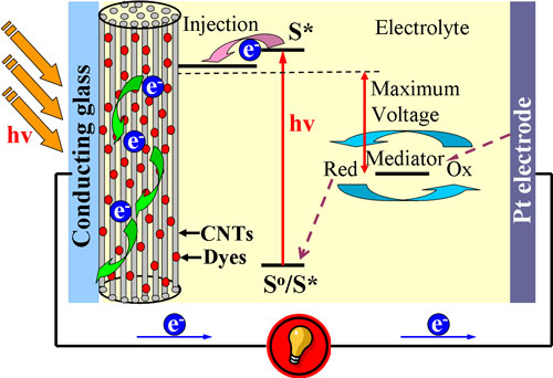 Schematic diagram of the production and transportation of photoelectron in a nanotube fiber solar cell