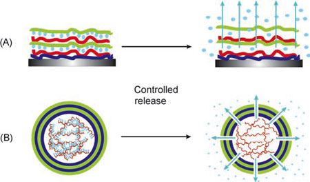 Nanocontainers of self-repairing materials