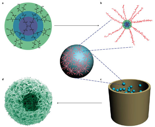 A schematic of star-shaped polymers synthesis and nanofibrous hollow microsphere fabrication