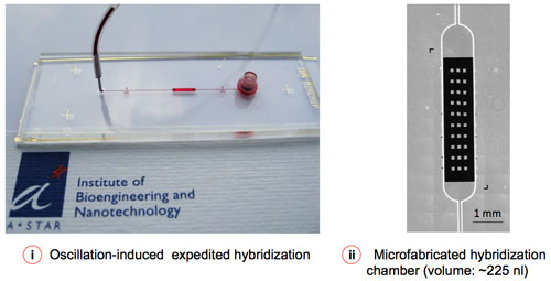 Microfluidic-assisted sample delivery and oscillation-hybridization reduces the reagent cost and assay time to a significant extent