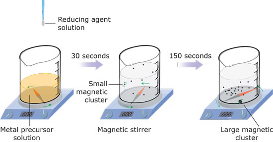 Synthesis of Magnetic Noble Metal Nanoparticles