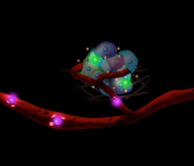  Cells carrying sensors monitor the cellular nano-environment in real-time