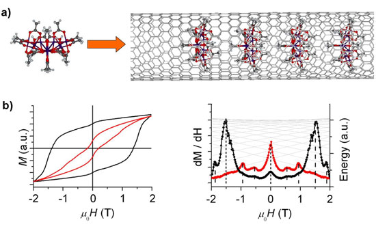 Schematic diagram of Mn12Ac single-molecule magnet encapsulation in carbon nanotube