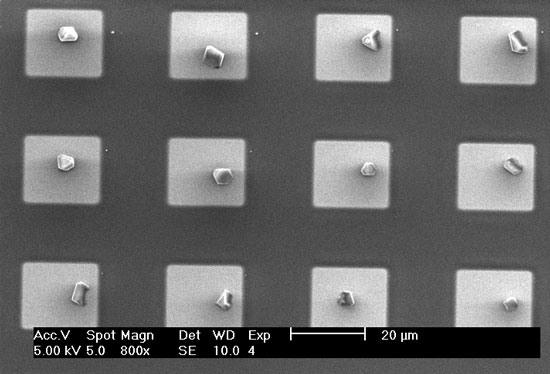 SEM image of an array of single HKUST-1 crystals that were printed in hydrophilic micropatches