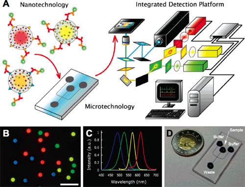Diagnostic scheme for integrated nano-micro detection platform