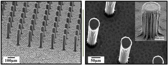 Scanning electron microscope image of three-dimensional graphene encrusted carbon micropillar arrays