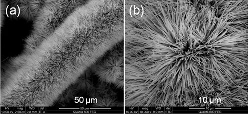  Co3O4 nanowires with brush-like morphology