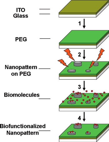 EBID-process sequence employed for the generation of biomolecular nanopatterns