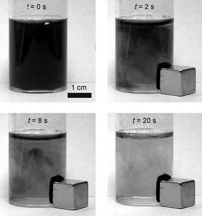 Separation of cobalt nanoparticles from a suspension with a magnet