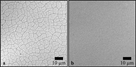 silica nanoparticle films