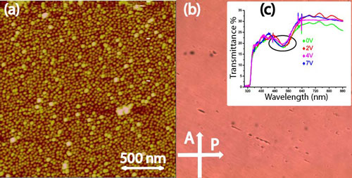 AFM topography of the GNPs distribution