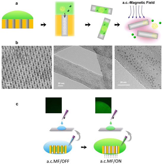 Loading and on-command release of Trojan-Horse nanotubes by the induction heating of carbon nanotubes