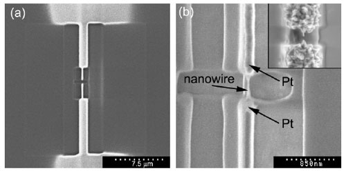FIB image of platinum deposited nanoelectrodes after fabrication