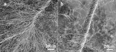 Carbon nanotube cotton spun into a fiber
