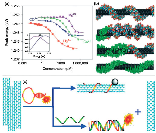 single-walled carbon nanotube as sensors