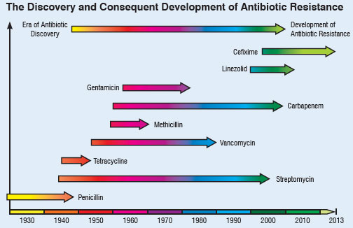 Timeline of antibiotics discovery and the development of antibiotic resistance