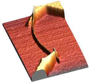 AFM image of connected multi-wall carbon nanotube