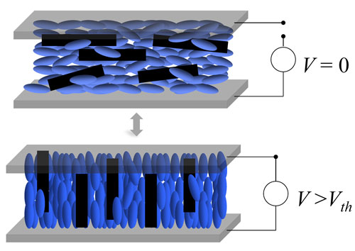  liquid crystals (ellipsoids) and carbon nanotubes (black rods) reorientation under an external electric field