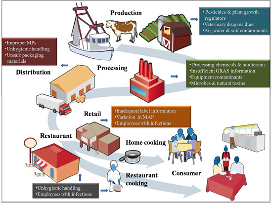 Potential sources of contamination in  consumable food