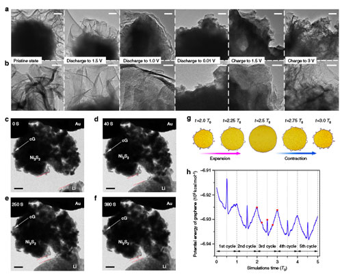 Ex situ and In situ TEM characterizations and MD simulations of a cG encapsulated electrode