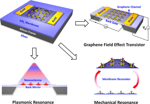 Optoelectromechanical Multimodal Biosensor with Graphene Active Region