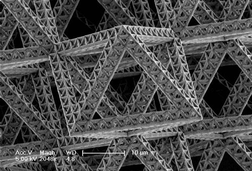 A fractal nanotrus