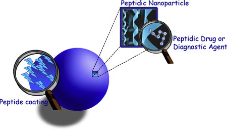 all-peptidic nanoplatforms for drug delivery into the brain