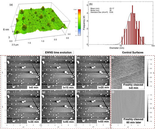 The AFM measured size distribution and stability of the EWNS