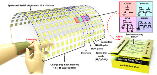Schematic illustration of a single-walled carbon nanotube-based electronic devices as a wearable array platform