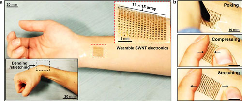 Schematic illustration of a single-walled carbon nanotube-based electronic devices as a wearable array platform