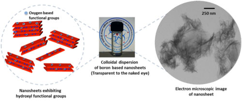 nanosheets exfoliated from metal borides resemble graphene