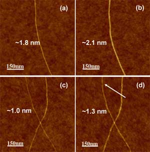 AFM images carbon nanotubes before and after hydrogenation