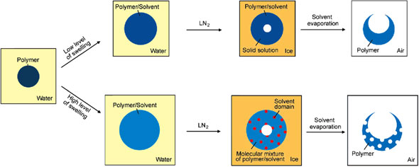 formation of microscale fish bowls from pre-synthesized polymer beads