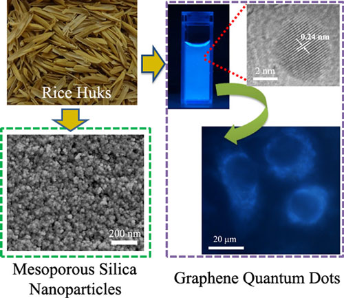 Comprehensive utilization of rice husks for high quality graphene quantum dots and mesoporous silica nanoparticles