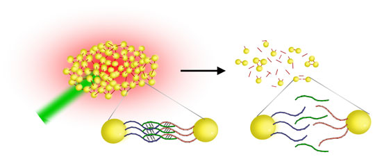 Gold nanostoves as DNA melting assay