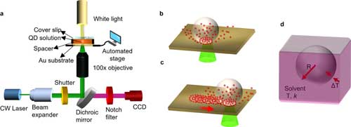Working principle of bubble printing of quantum dots on plasmonic substrates