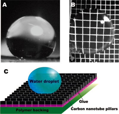 Superhydrophobic behavior of micropatterned carbon nanotube pillars