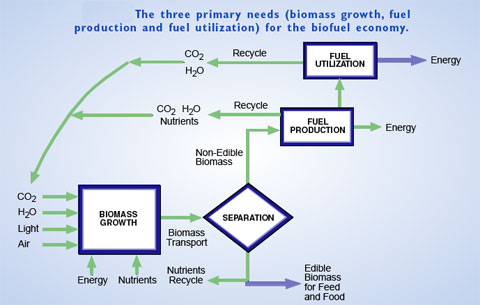 the three primary needs for the biofuel economy