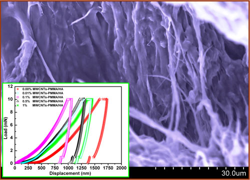 carbon nanotube reinforced PMMA/hydroxyapatite composite