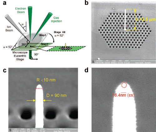 surface-enhanced nanosensor device