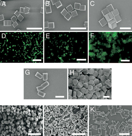 Micrographs of PRINT particles varying in both size and shape