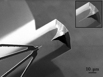 Reproducible assembly of CNT-enhanced AFM super-tips using topology-optimized microgrippers