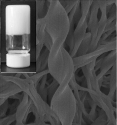 Molecular gel and its nanoscale architecture