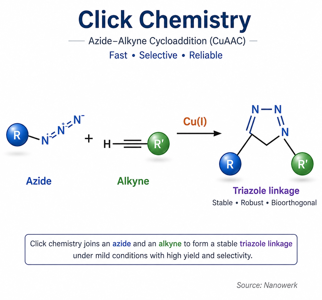 Click chemistry diagram showing azide and alkyne groups forming a triazole linkage by copper-catalyzed azide-alkyne cycloaddition