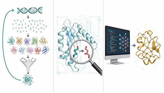 Overview of protein engineering strategies: directed evolution, rational design, and de novo computational design